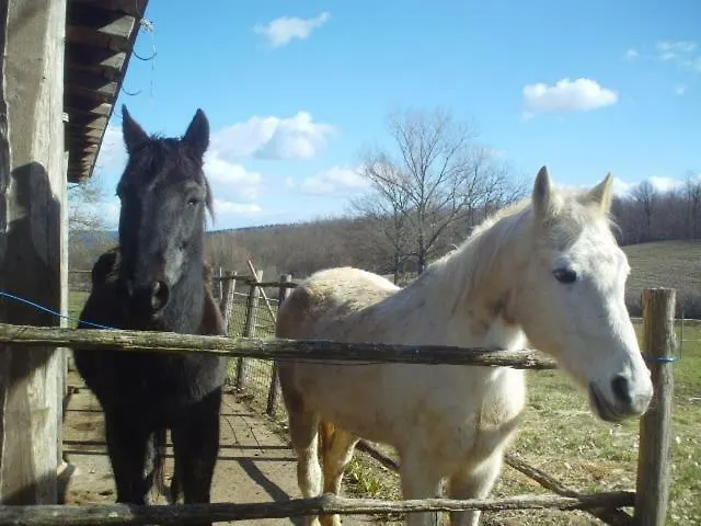 Alloggio per agriturismo Farm House Il Fondaco Villa Siena Italia